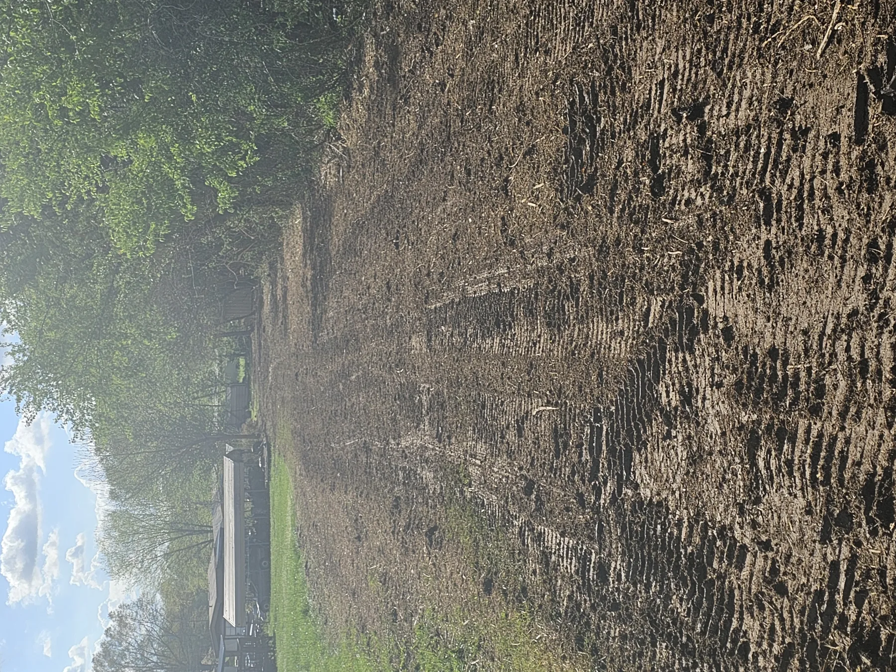 Excavation work near Palmer