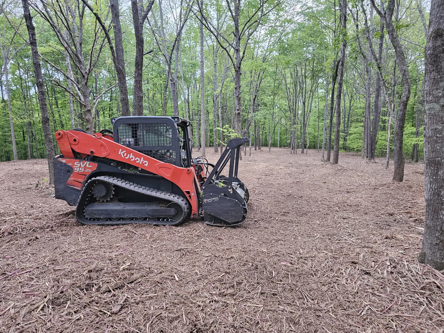 Forestry mulching near Eagleville, TN