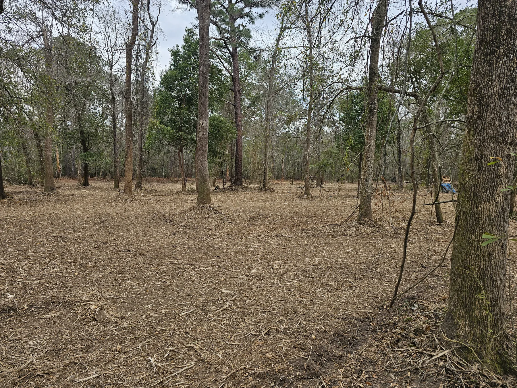 Vegetation control by S and S Excavation