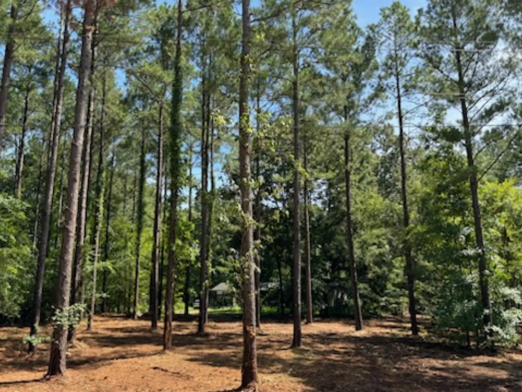 Front porch concrete flatwork in Middle Tennessee