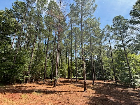 Finished concrete project