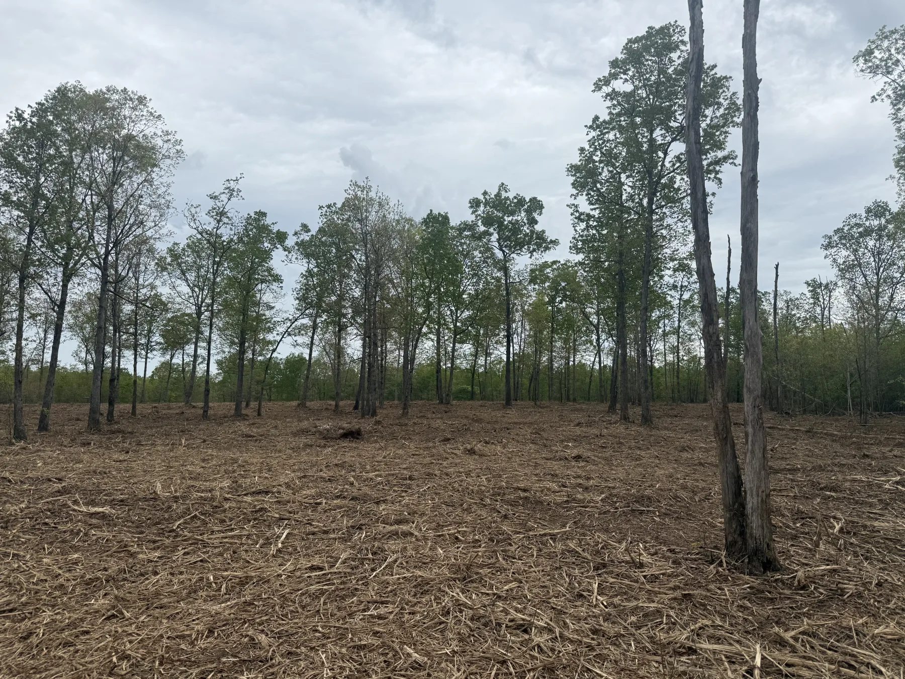 Cleared and graded property by S and S Excavation