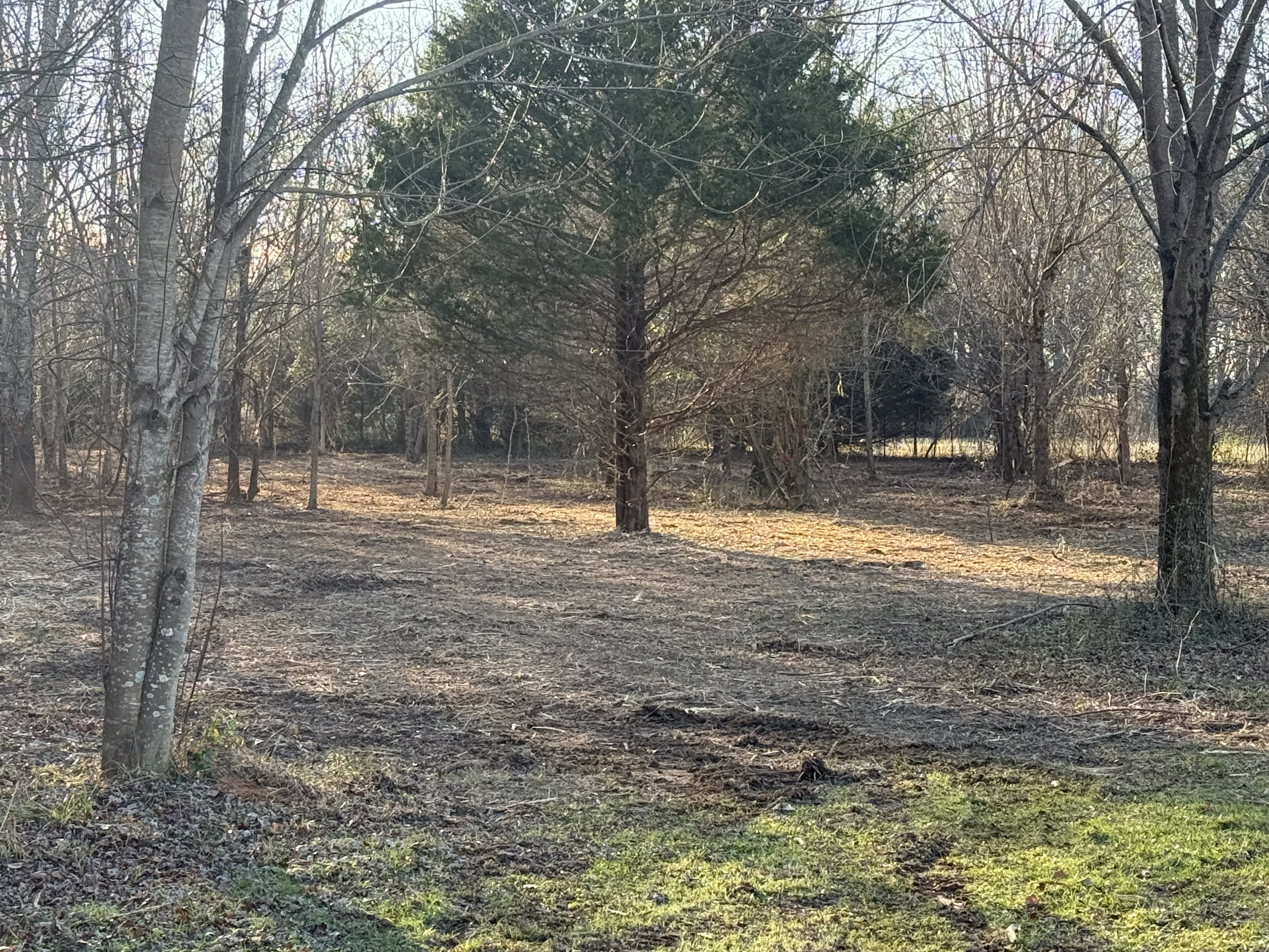 Cleared wooded property by S and S Excavation