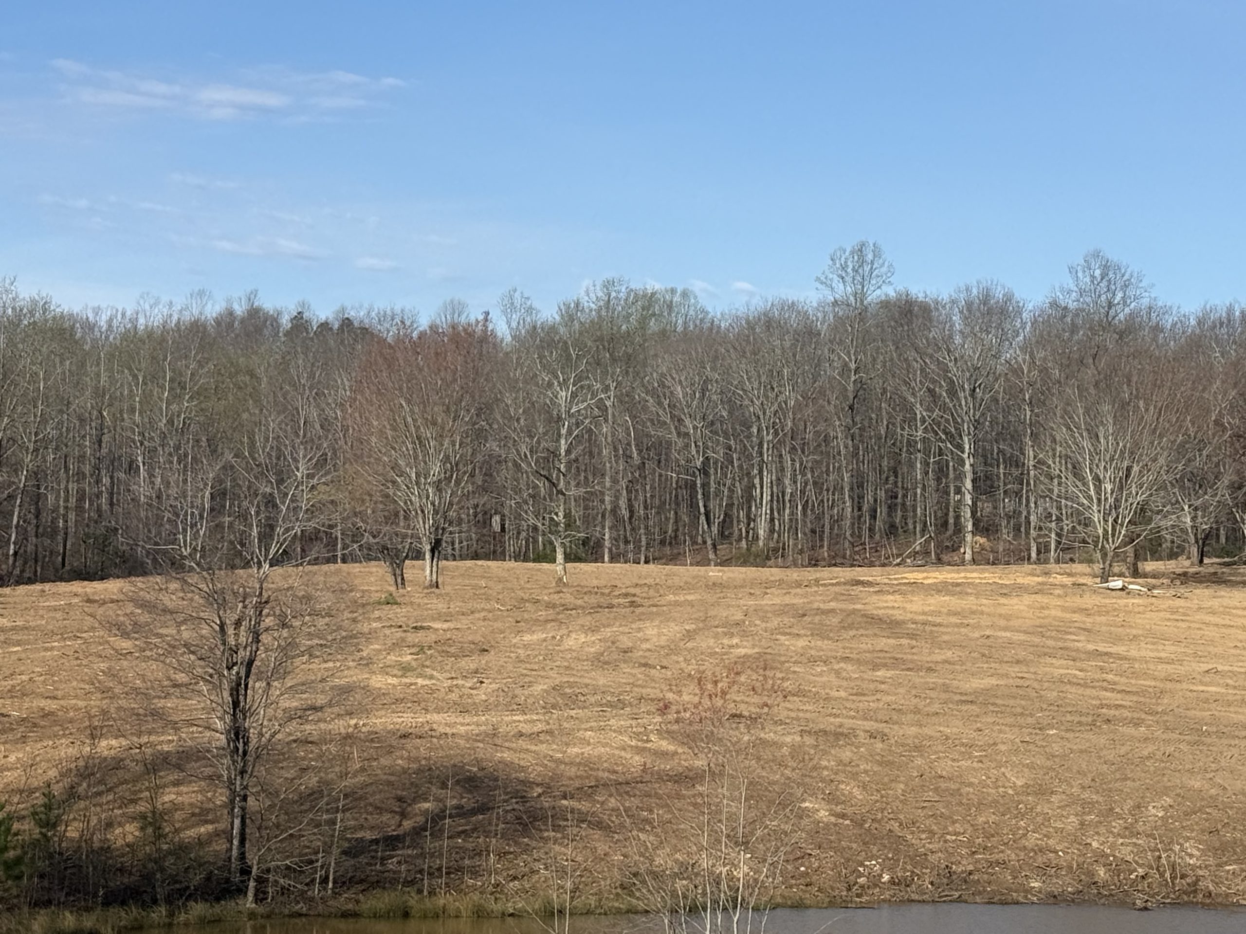 Field cleared to open ground for a homesite near McMinnville, Tennessee