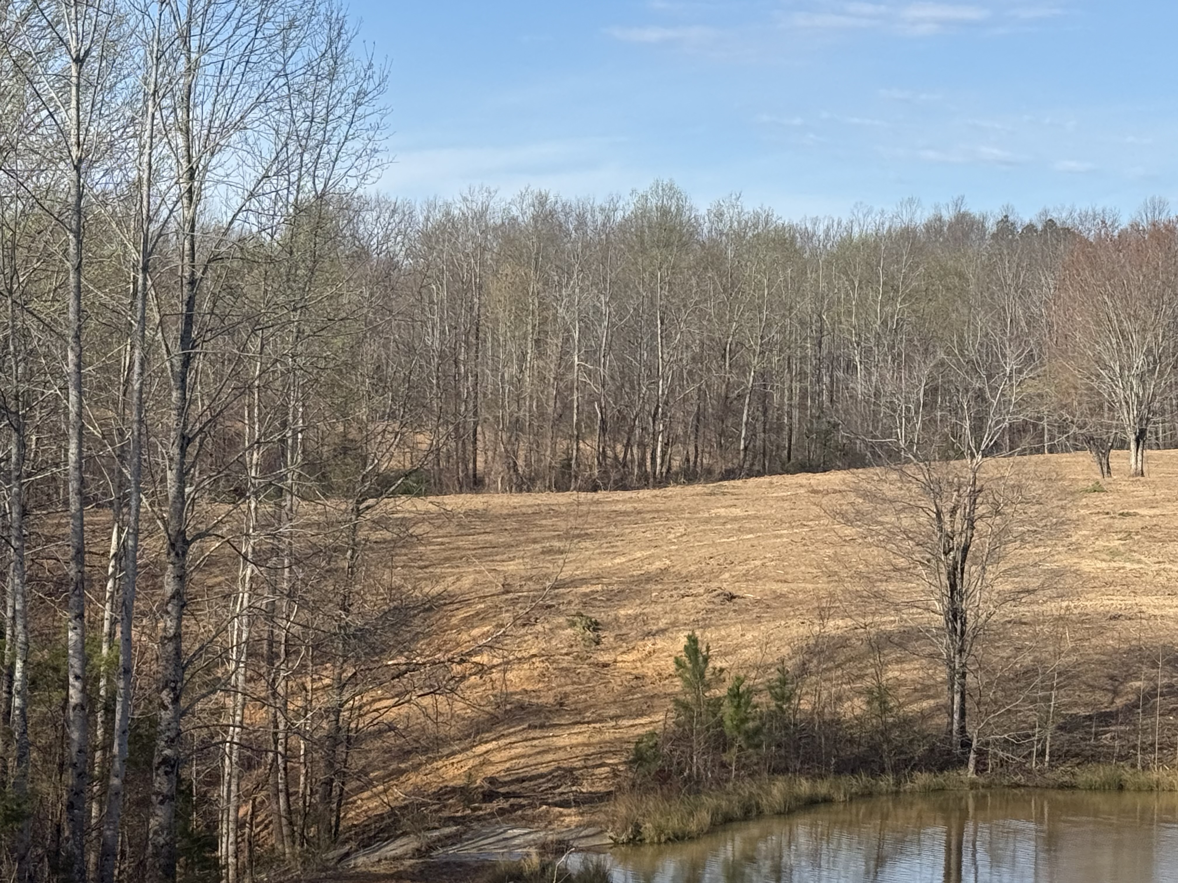 Graded development site near Smyrna, TN