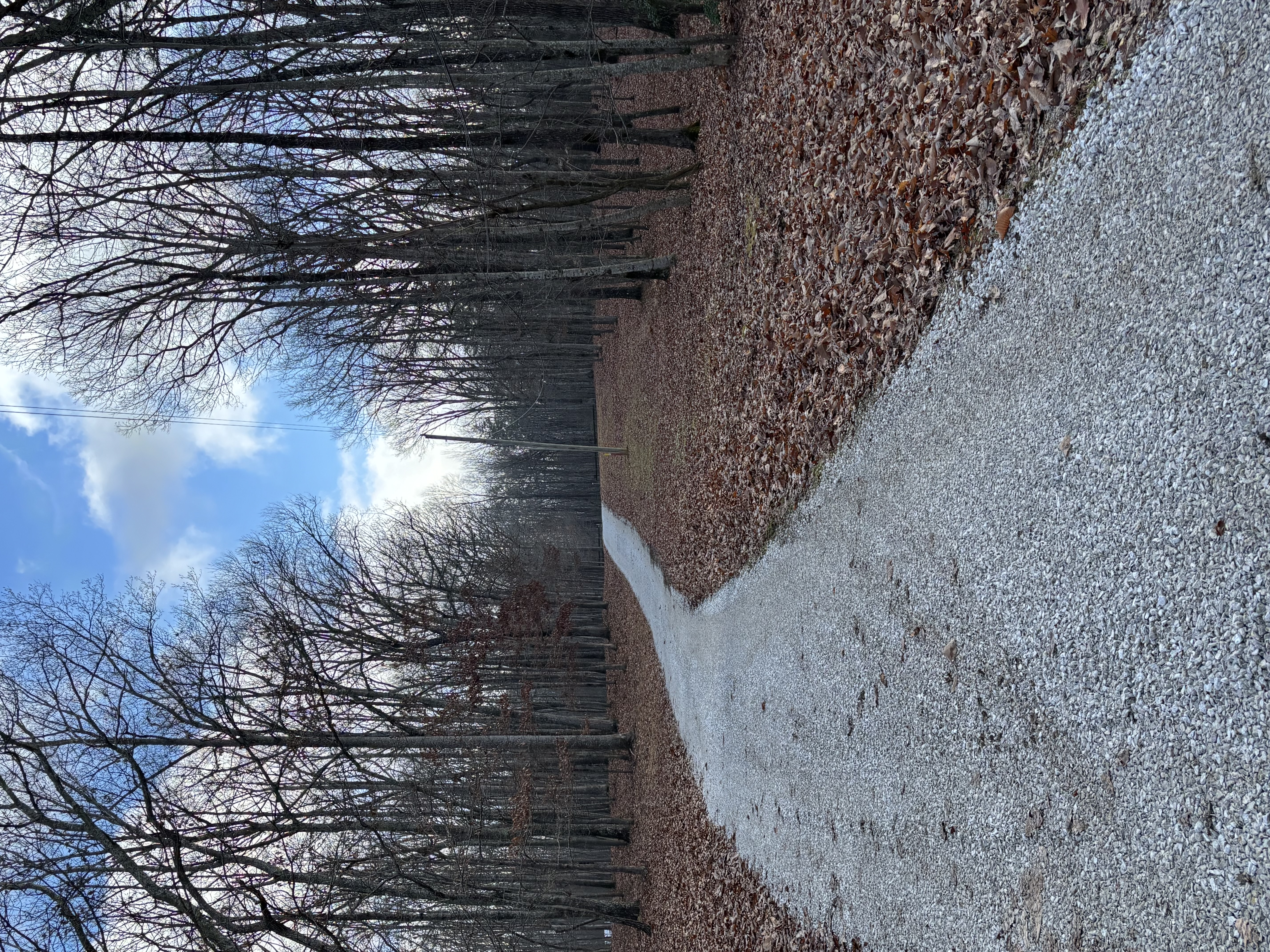Commercial grading near Smyrna, Tennessee