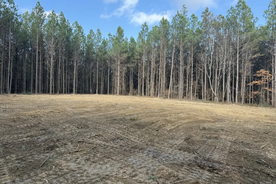 Cleared acreage after land clearing in Tullahoma, TN